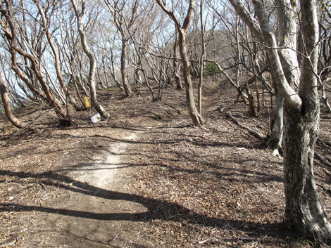 20140502hike (345)